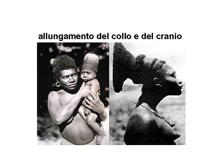 allungamento del collo e del cranio 