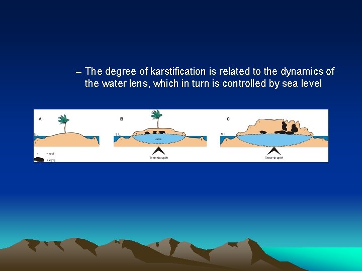 – The degree of karstification is related to the dynamics of the water lens,