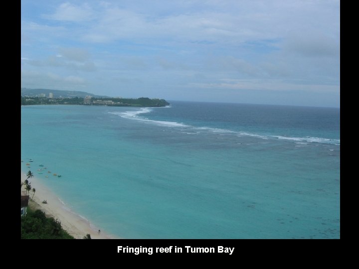 Fringing reef in Tumon Bay 