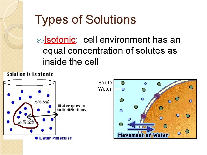 Types of Solutions Isotonic: cell environment has an equal concentration of solutes as inside