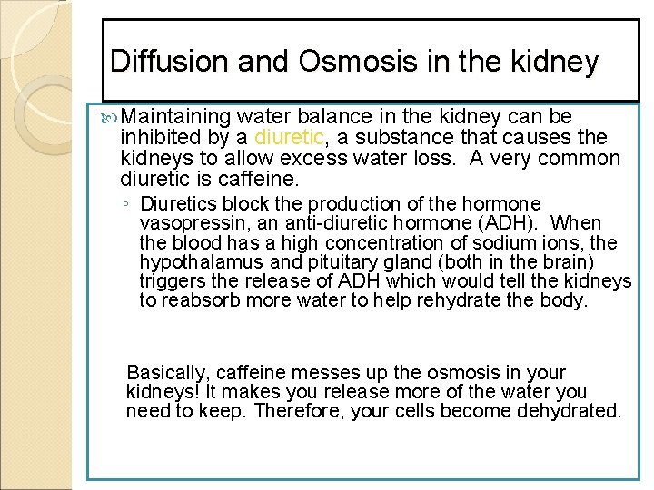 Diffusion and Osmosis in the kidney Maintaining water balance in the kidney can be