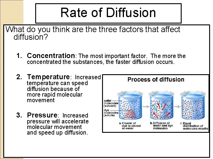 Rate of Diffusion What do you think are three factors that affect diffusion? 1.