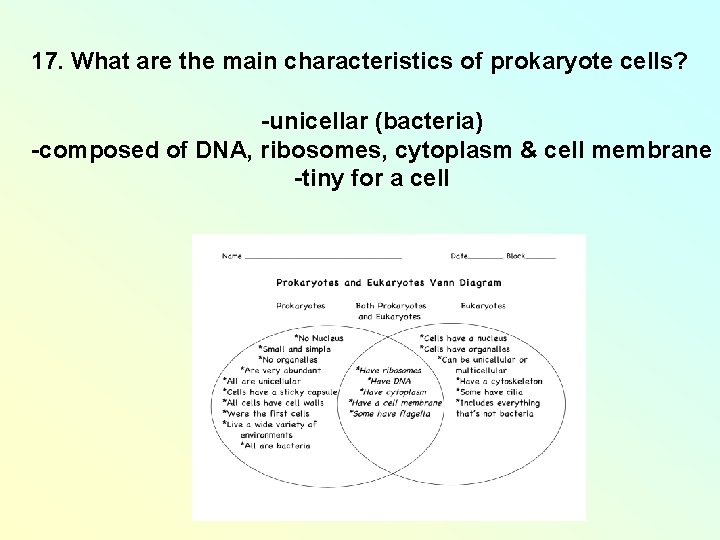 17. What are the main characteristics of prokaryote cells? -unicellar (bacteria) -composed of DNA, 17. What are the main characteristics of prokaryote cells? -unicellar (bacteria) -composed of DNA,