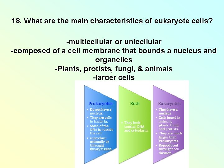 18. What are the main characteristics of eukaryote cells? -multicellular or unicellular -composed of 18. What are the main characteristics of eukaryote cells? -multicellular or unicellular -composed of