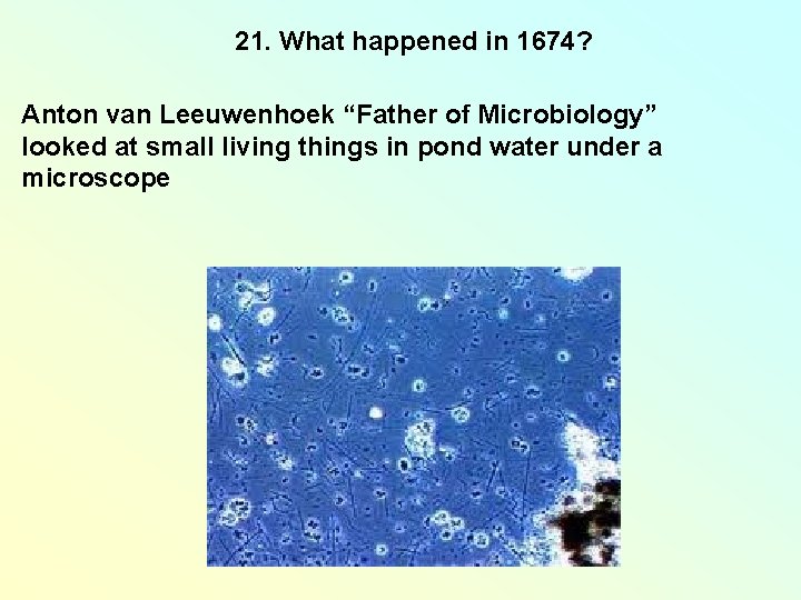 21. What happened in 1674? Anton van Leeuwenhoek “Father of Microbiology” looked at small 21. What happened in 1674? Anton van Leeuwenhoek “Father of Microbiology” looked at small