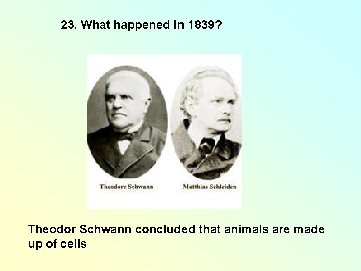 23. What happened in 1839? Theodor Schwann concluded that animals are made up of 23. What happened in 1839? Theodor Schwann concluded that animals are made up of