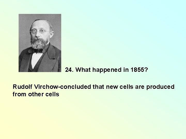24. What happened in 1855? Rudolf Virchow-concluded that new cells are produced from other 24. What happened in 1855? Rudolf Virchow-concluded that new cells are produced from other