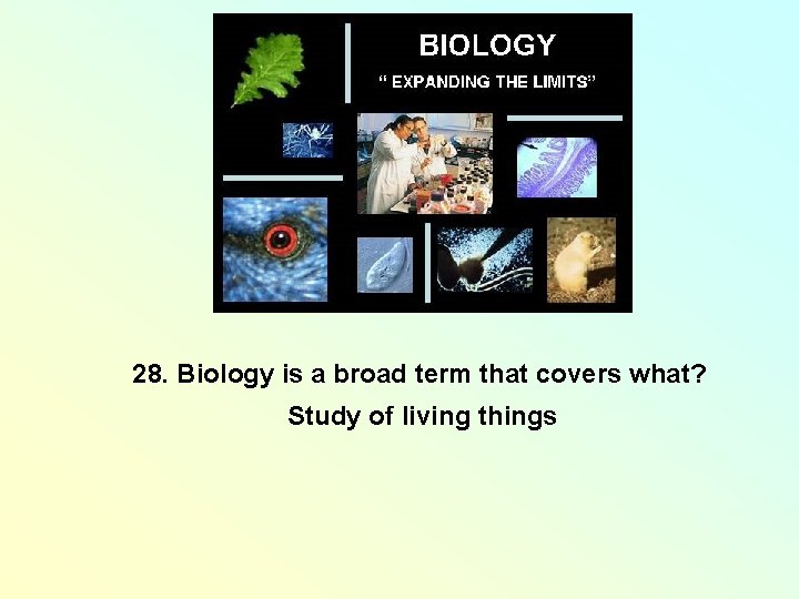 28. Biology is a broad term that covers what? Study of living things 28. Biology is a broad term that covers what? Study of living things