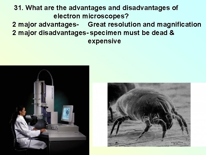 31. What are the advantages and disadvantages of electron microscopes? 2 major advantages- Great 31. What are the advantages and disadvantages of electron microscopes? 2 major advantages- Great