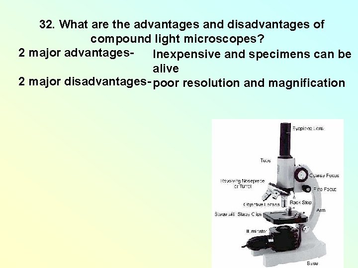 32. What are the advantages and disadvantages of compound light microscopes? 2 major advantages. 32. What are the advantages and disadvantages of compound light microscopes? 2 major advantages.
