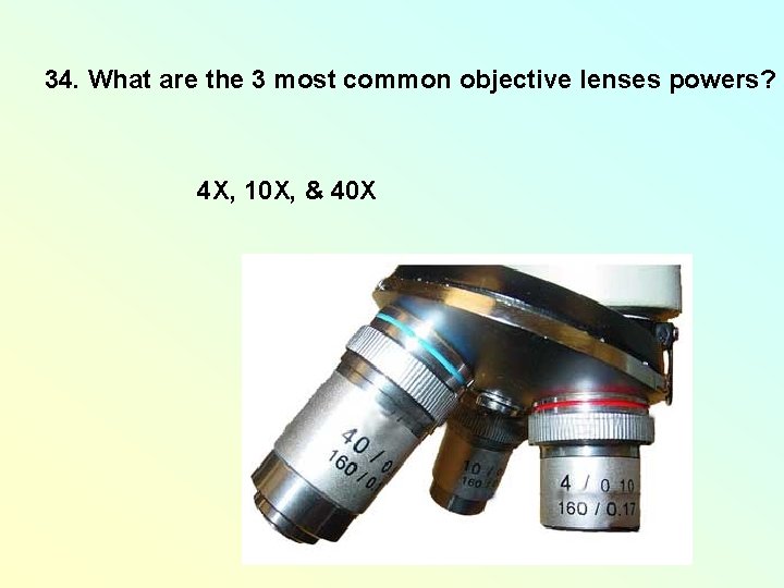 34. What are the 3 most common objective lenses powers? 4 X, 10 X, 34. What are the 3 most common objective lenses powers? 4 X, 10 X,