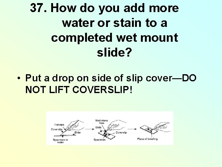 37. How do you add more water or stain to a completed wet mount 37. How do you add more water or stain to a completed wet mount