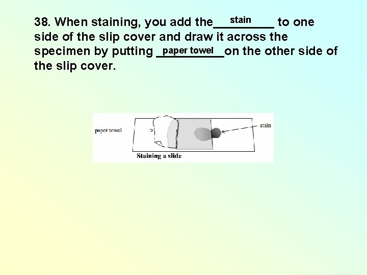 stain 38. When staining, you add the_____ to one side of the slip cover stain 38. When staining, you add the_____ to one side of the slip cover