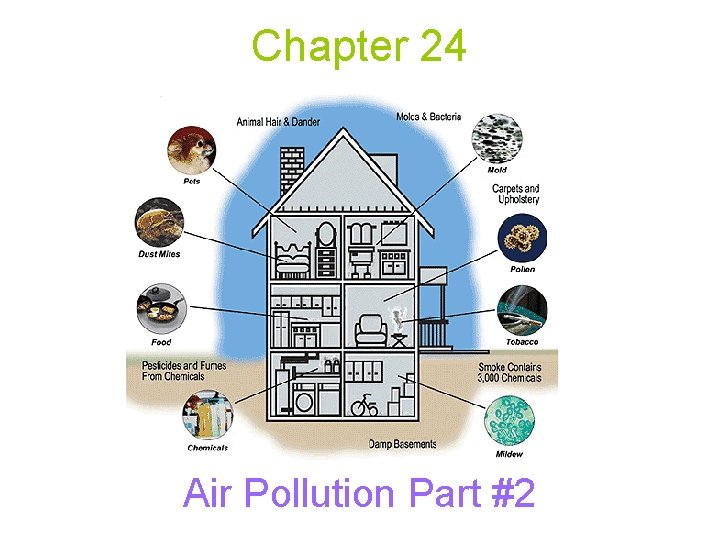 Chapter 24 Air Pollution Part #2 