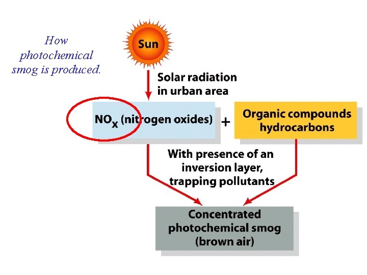 How photochemical smog is produced. 