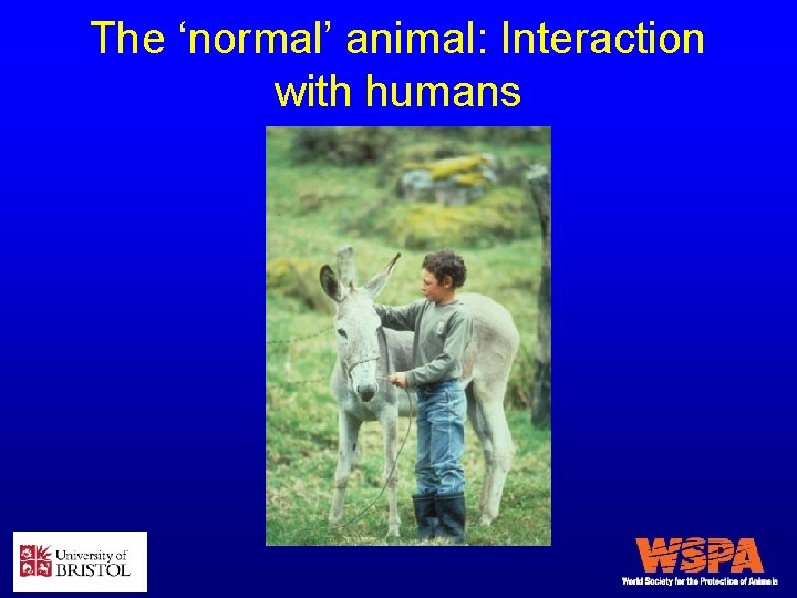 The ‘normal’ animal: Interaction with humans 