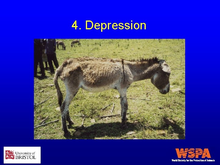 4. Depression 