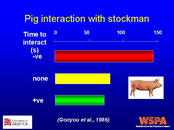 Pig interaction with stockman Time to interact (s) -ve 0 50 none +ve (Gonyou