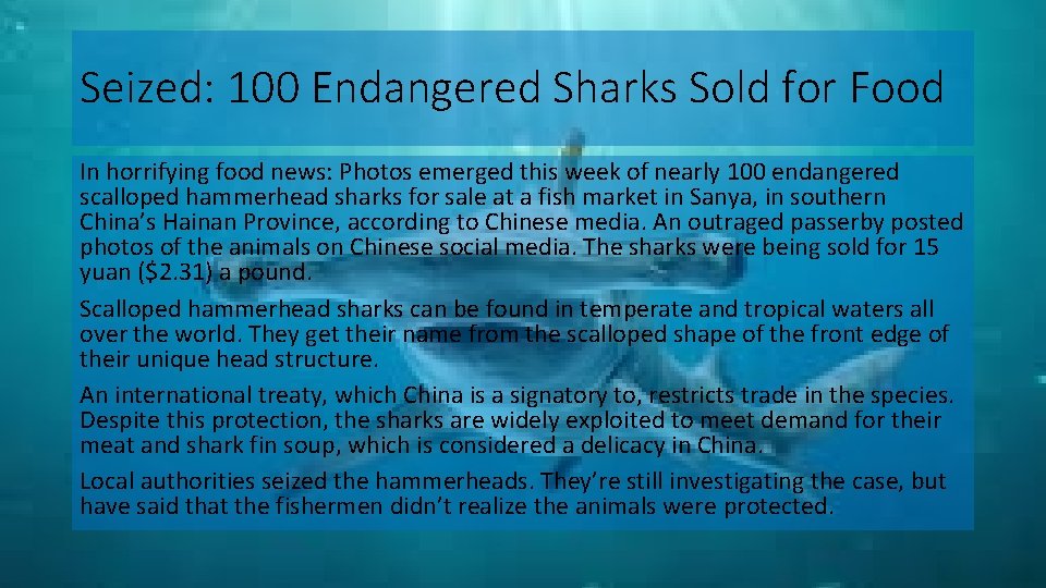 Seized: 100 Endangered Sharks Sold for Food In horrifying food news: Photos emerged this