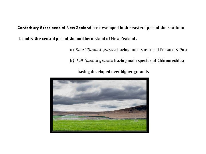 Canterbury Grasslands of New Zealand are developed in the eastern part of the southern