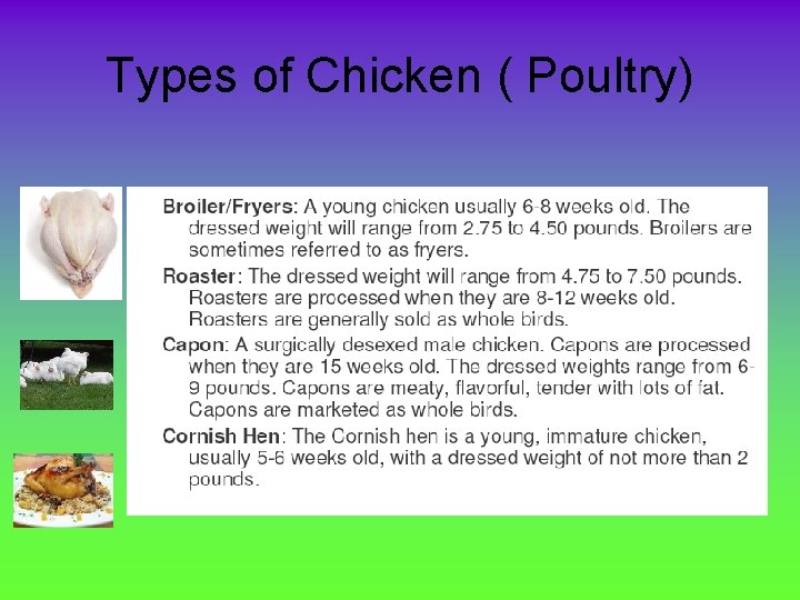 Types of Chicken ( Poultry) 