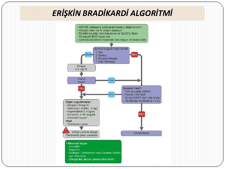 ERİŞKİN BRADİKARDİ ALGORİTMİ 