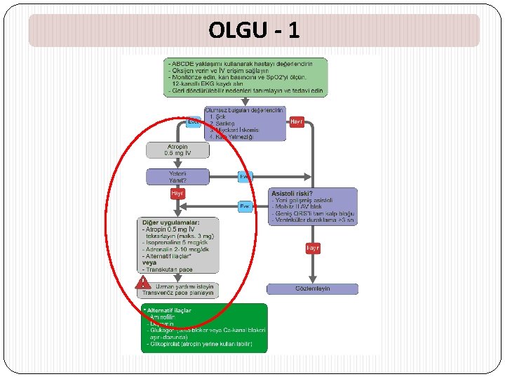 OLGU - 1 