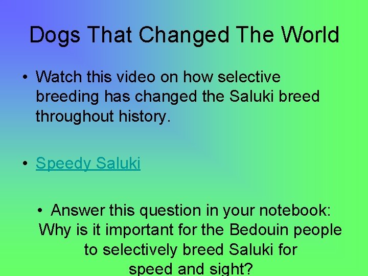 Dogs That Changed The World • Watch this video on how selective breeding has