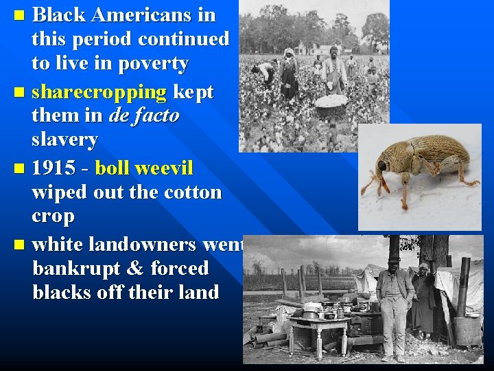 Black Americans in this period continued to live in poverty n sharecropping kept them