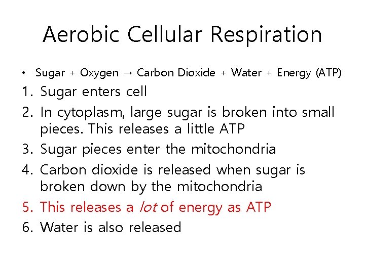 Aerobic Cellular Respiration • Sugar + Oxygen → Carbon Dioxide + Water + Energy
