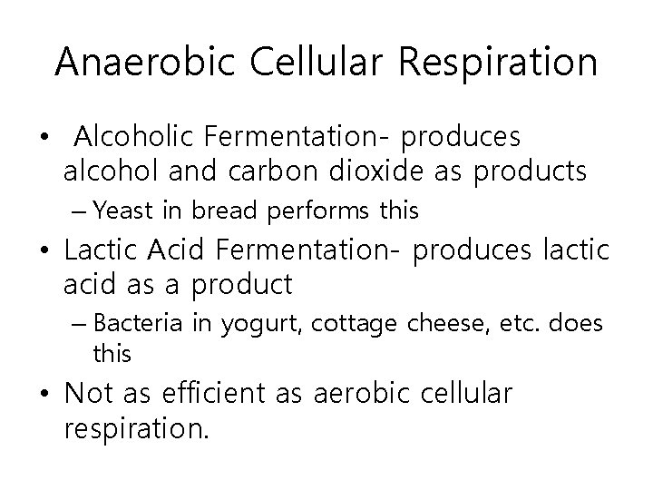 Anaerobic Cellular Respiration • Alcoholic Fermentation- produces alcohol and carbon dioxide as products –