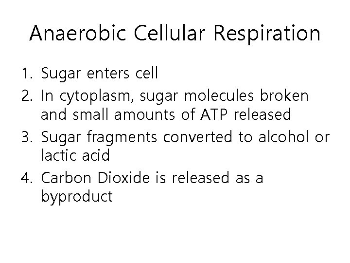 Anaerobic Cellular Respiration 1. Sugar enters cell 2. In cytoplasm, sugar molecules broken and