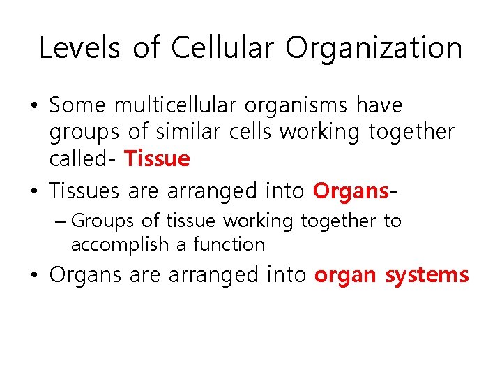 Levels of Cellular Organization • Some multicellular organisms have groups of similar cells working