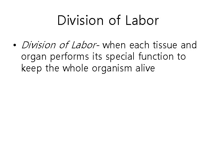 Division of Labor • Division of Labor- when each tissue and organ performs its