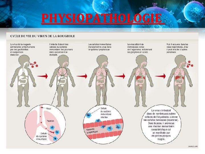 PHYSIOPATHOLOGIE PHYSIOPATHOLOGIE