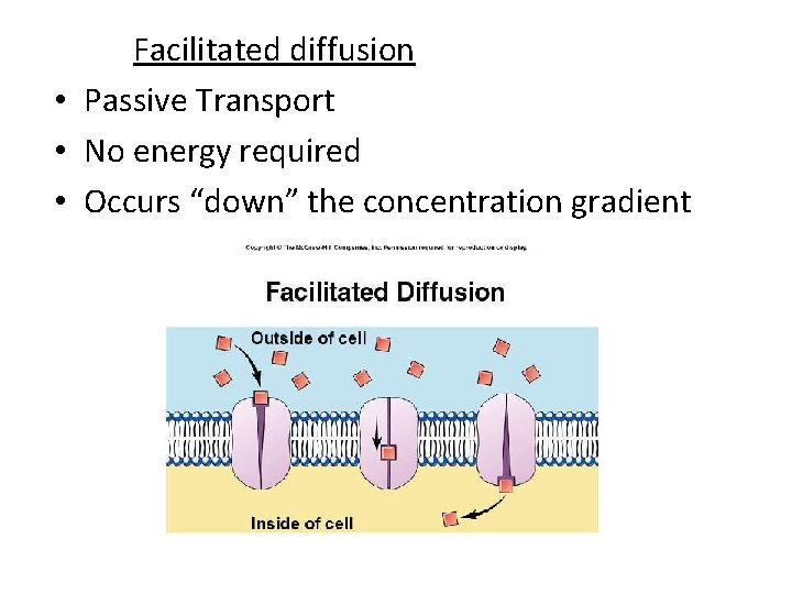 Facilitated diffusion • Passive Transport • No energy required • Occurs “down” the concentration Facilitated diffusion • Passive Transport • No energy required • Occurs “down” the concentration