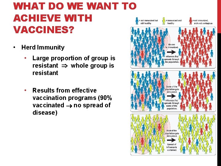 WHAT DO WE WANT TO ACHIEVE WITH VACCINES? • Herd Immunity • Large proportion