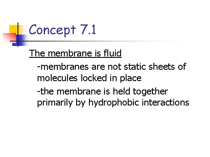 Concept 7. 1 The membrane is fluid -membranes are not static sheets of molecules
