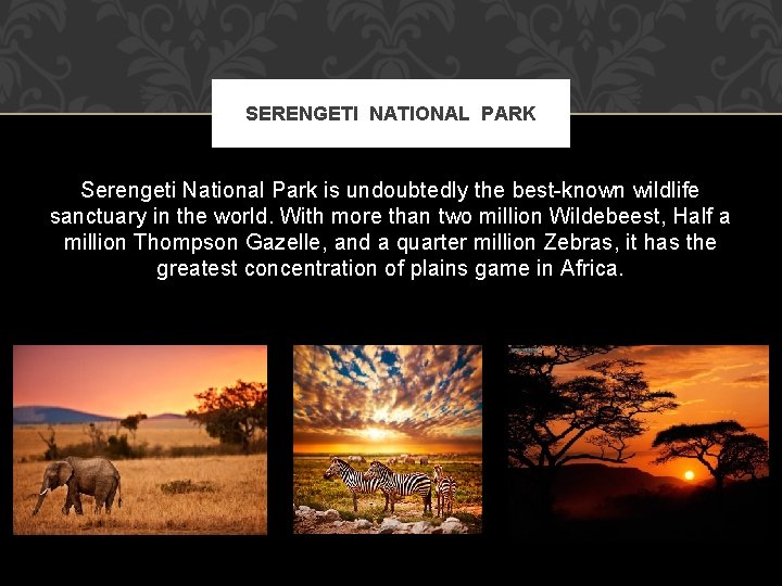 SERENGETI NATIONAL PARK Serengeti National Park is undoubtedly the best-known wildlife sanctuary in the