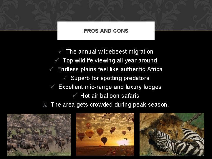 PROS AND CONS ü The annual wildebeest migration ü Top wildlife viewing all year
