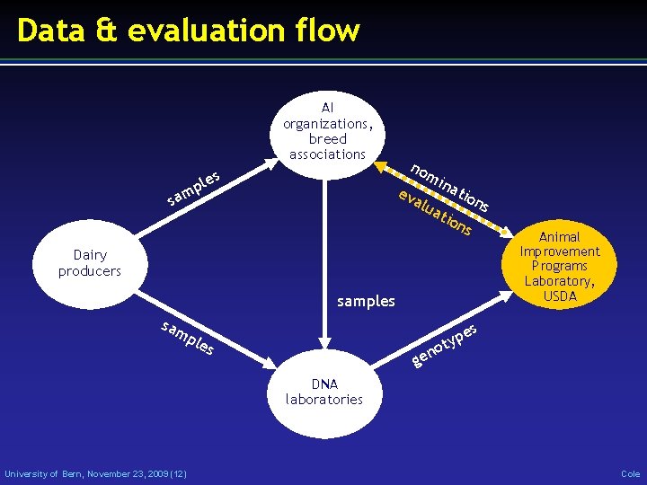 Data & evaluation flow AI organizations, breed associations les p m a s no