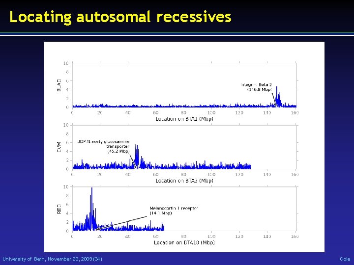 Locating autosomal recessives University of Bern, November 23, 2009 (34) Cole 