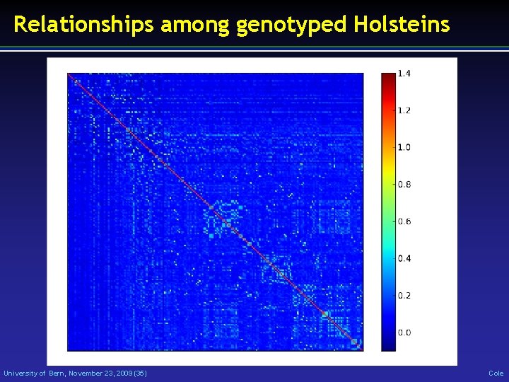 Relationships among genotyped Holsteins University of Bern, November 23, 2009 (35) Cole 