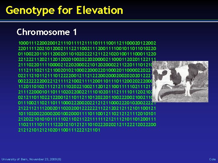 Genotype for Elevation Chromosome 1 10001112200200121110111121111001121100020122002 2201111202101200211122110021112001111001011011010220 0110022011011200201101020222121122102010011100011220 22122211201202010020220200002110001120201122111022011110000212202000221012020002211220111012100 111211102112110020102100022010002011000022022112101121110122220012112122200200202020122211 002222222002212111121002111120011011200202220001 1120110102111212111020221002112012110011111021112110 2111220001011011102022002211101020111211110112021021 021211011022122001211012022011002220021100