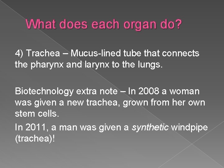 What does each organ do? 4) Trachea – Mucus-lined tube that connects the pharynx