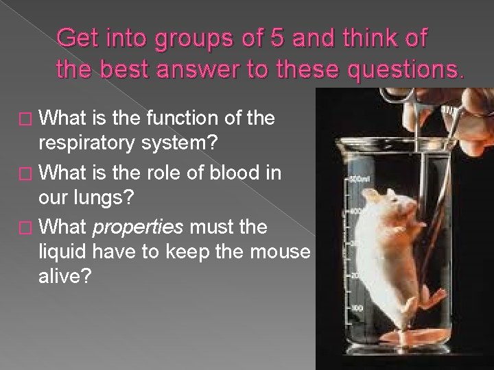 Get into groups of 5 and think of the best answer to these questions.