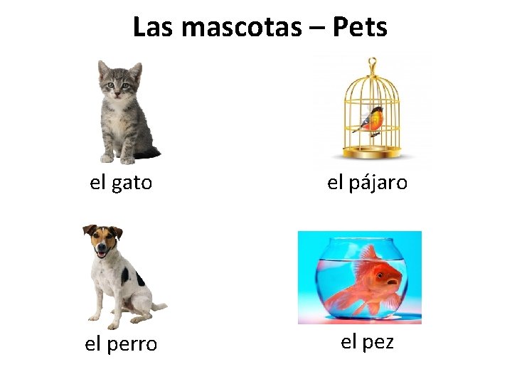 Las mascotas – Pets el gato el pájaro el perro el pez 