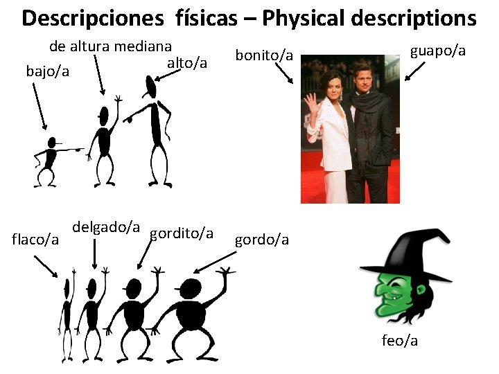 Descripciones físicas – Physical descriptions de altura mediana alto/a bajo/a bonito/a delgado/a gordito/a flaco/a