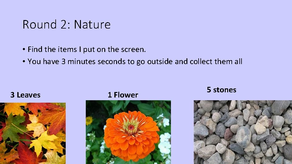 Round 2: Nature • Find the items I put on the screen. • You
