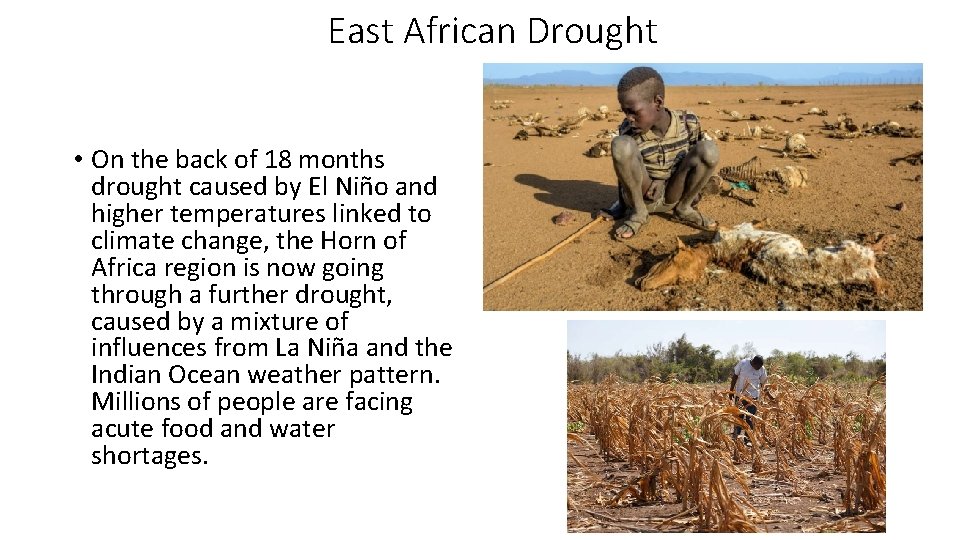 East African Drought • On the back of 18 months drought caused by El